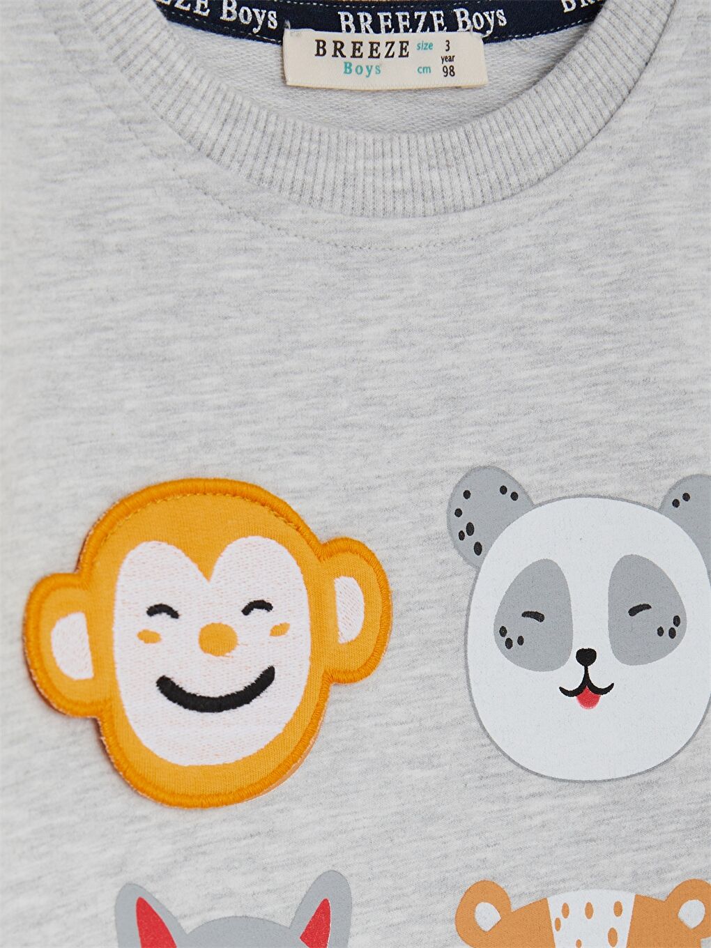 Gri Bisiklet Yaka Uzun Kollu Baskılı Erkek Bebek 2'li Takım-4