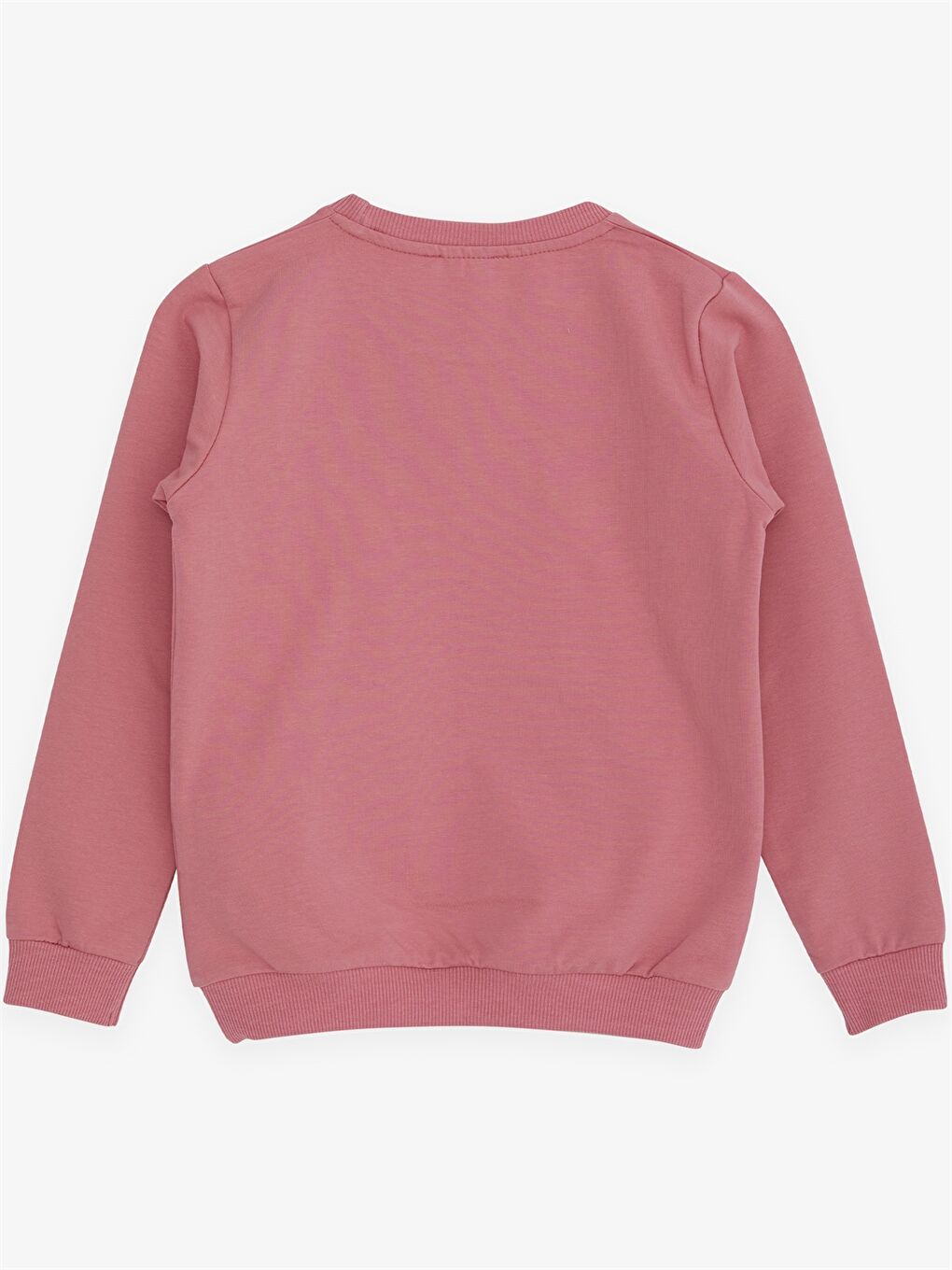 Pembe Bisiklet Yaka Baskılı Uzun Kollu Kız Çocuk Sweatshirt-1