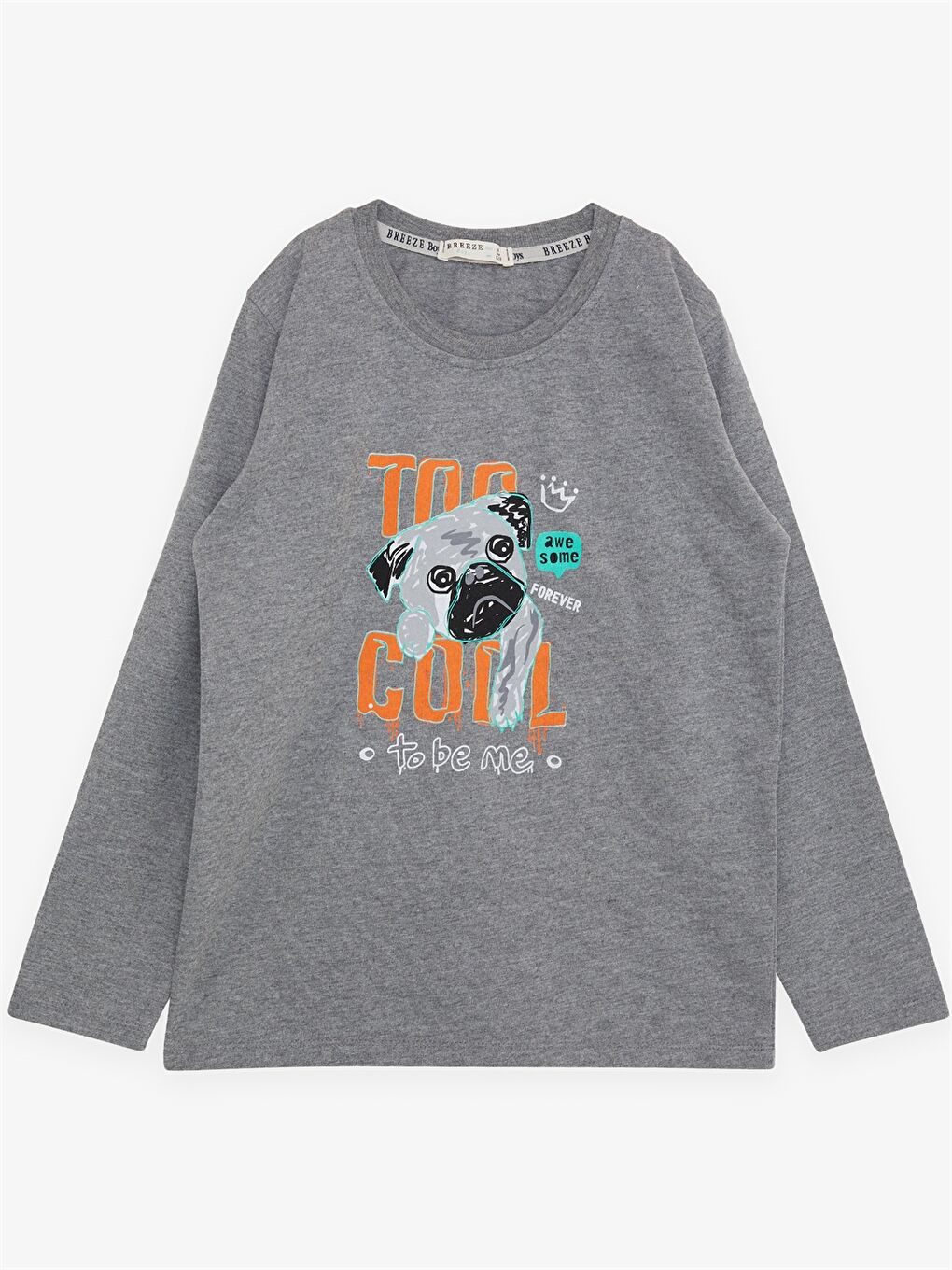 Gri Bisiklet Yaka Baskılı Uzun Kollu Erkek Çocuk Sweatshirt