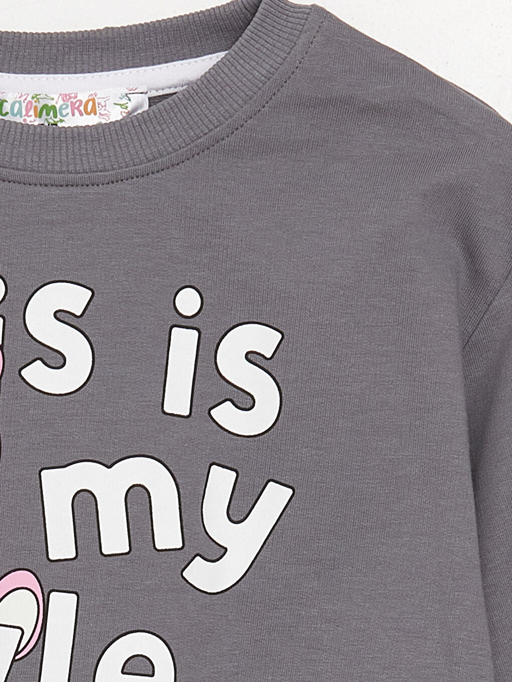 Gri Bisiklet Yaka Uzun Kollu Baskılı Kız Bebek Sweatshirt ve Eşofman Alt 2'li Takım-2