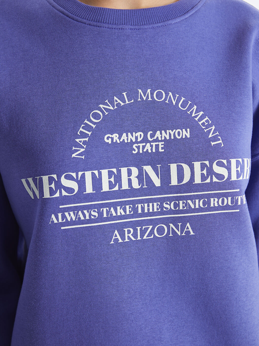 Crew Neck Printed Long Sleeve Oversize Women's Sweatshirt-3