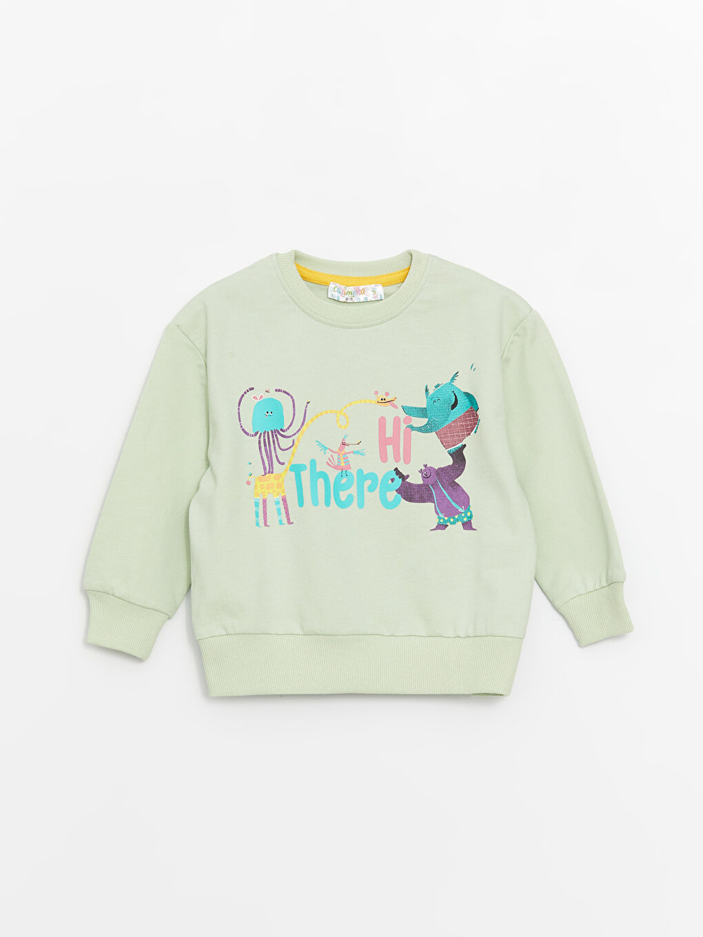 Yeşil Bisiklet Yaka Uzun Kollu Kız Bebek Sweatshirt ve Eşofman Alt 2'li Takım-1