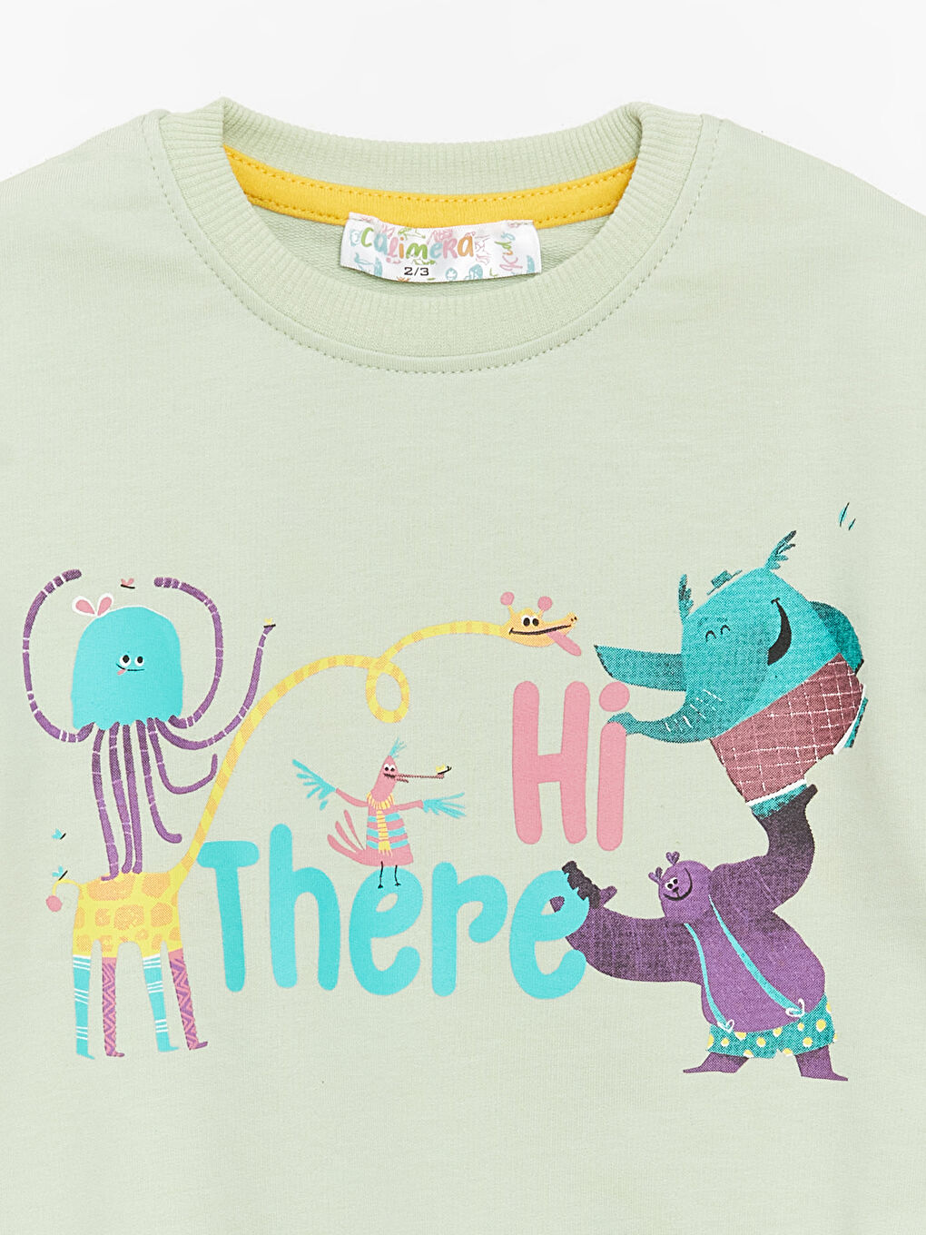 Yeşil Bisiklet Yaka Uzun Kollu Kız Bebek Sweatshirt ve Eşofman Alt 2'li Takım-5