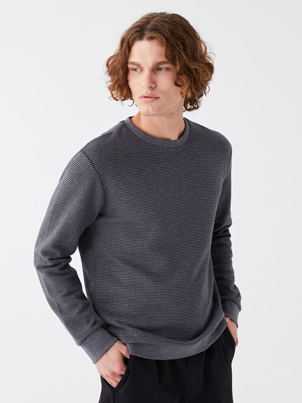 Antrasit Bisiklet Yaka Uzun Kollu Çizgili Erkek Sweatshirt