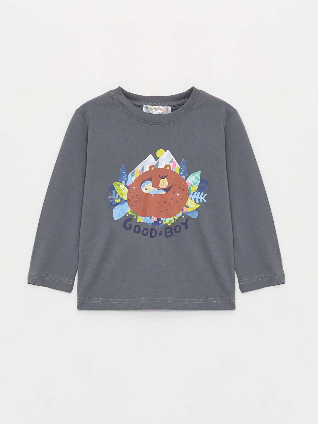 Gri Bisiklet Yaka Baskılı Uzun Kollu Erkek Bebek Sweatshirt