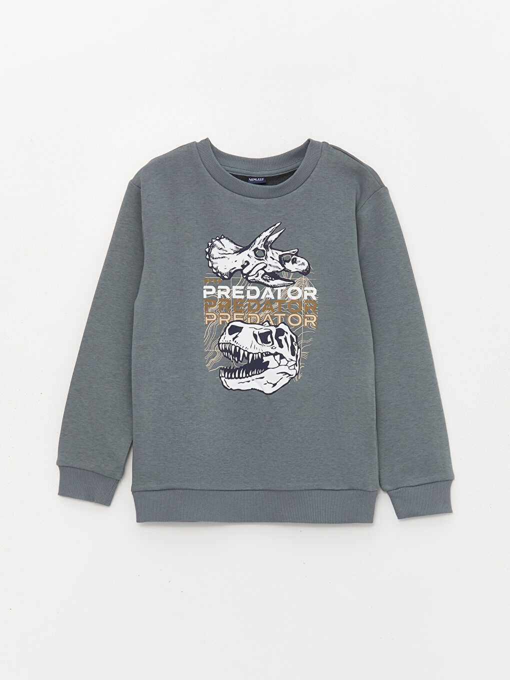 Gri Bisiklet Yaka Baskılı Uzun Kollu Erkek Çocuk Sweatshirt ve Eşofman Altı-1