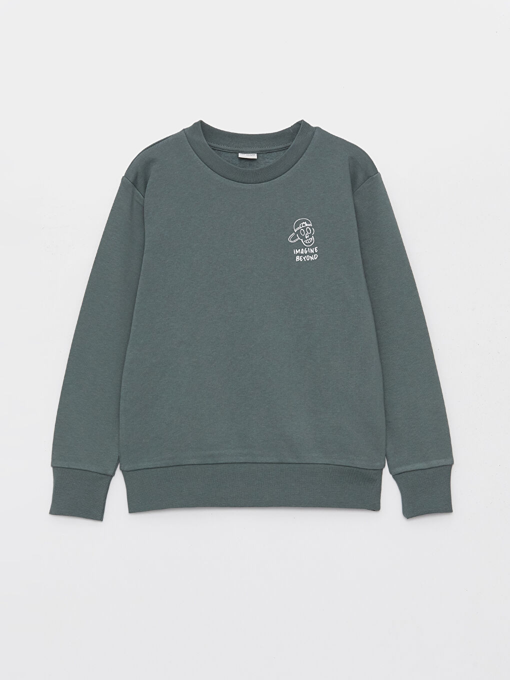 LCW Kids Mat Yeşil Bisiklet Yaka Baskılı Uzun Kollu Erkek Çocuk Sweatshirt - 2