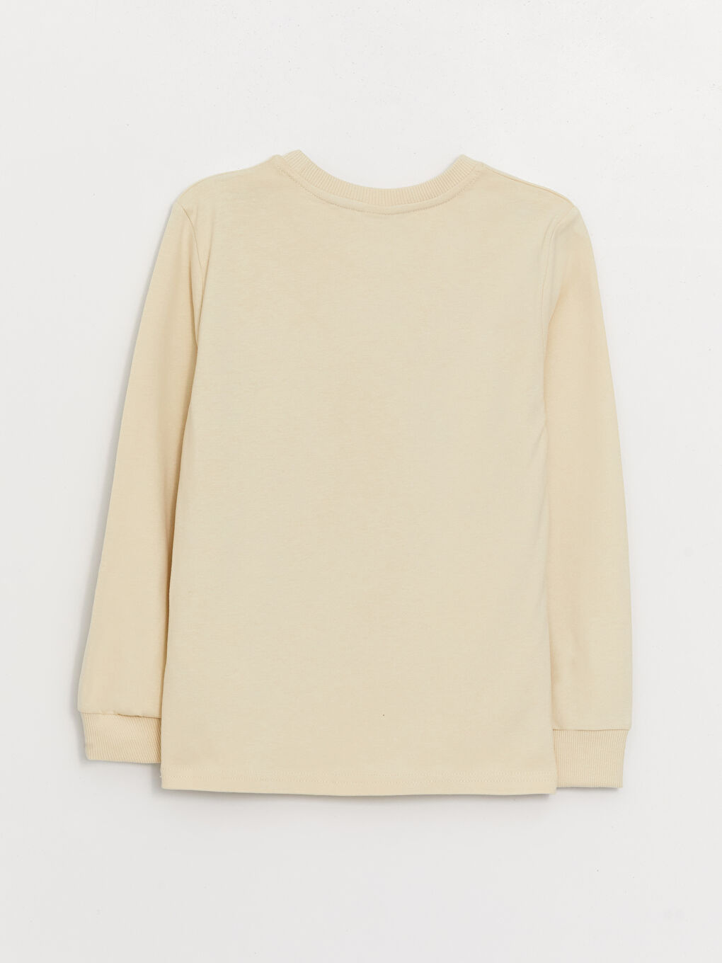 Crew Neck Printed Long Sleeve Boys' T-Shirt-1