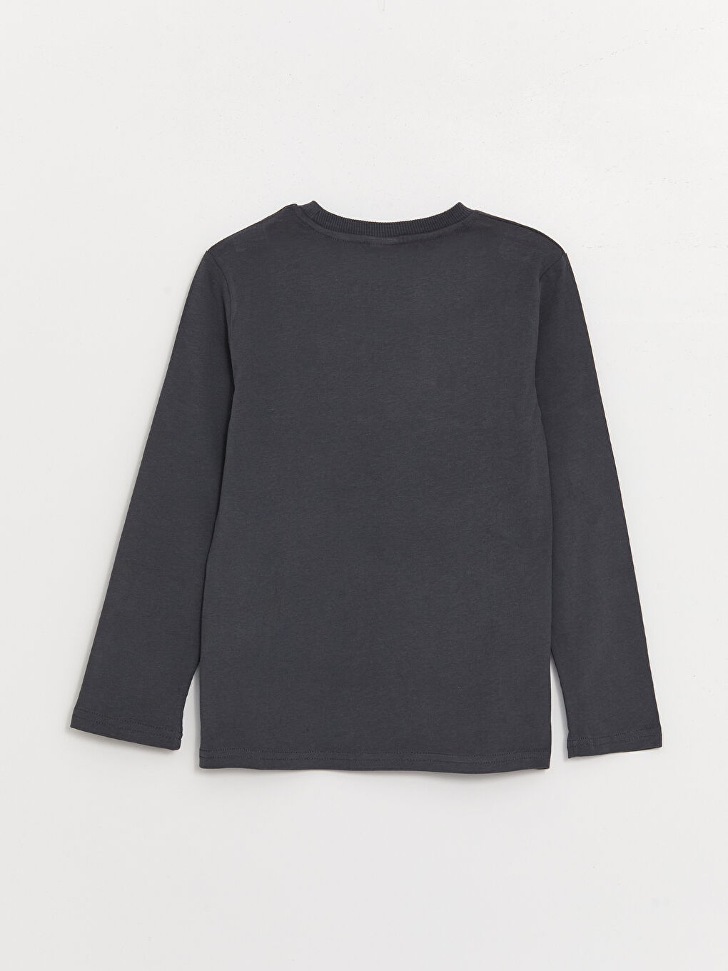 Crew Neck Printed Long Sleeve Boys' T-Shirt-1