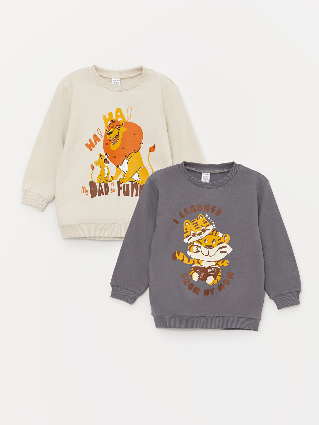 LCW baby Açık Gri Bisiklet Yaka Uzun Kollu Baskılı Erkek Bebek Sweatshirt 2'li