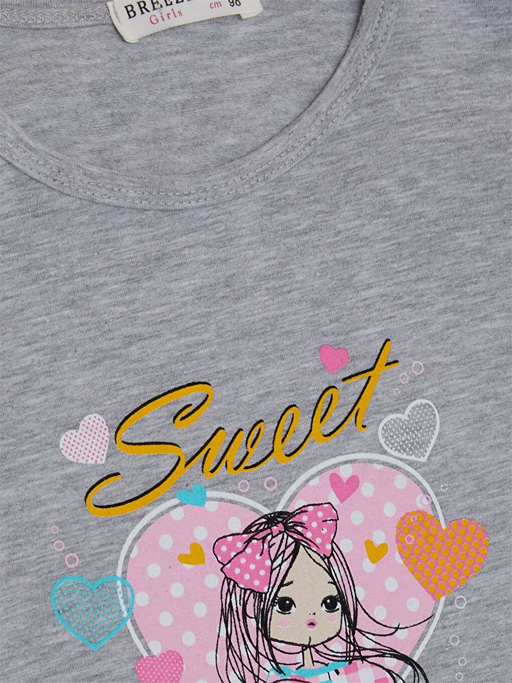 Gri Bisiklet Yaka Uzun Kollu Baskılı Kız Bebek 2'li Takım-4