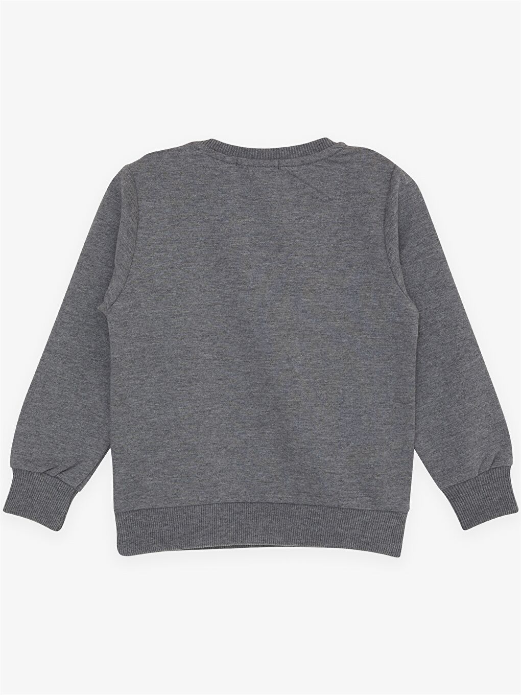 Gri Bisiklet Yaka Uzun Kollu Erkek Bebek Sweatshirt-1