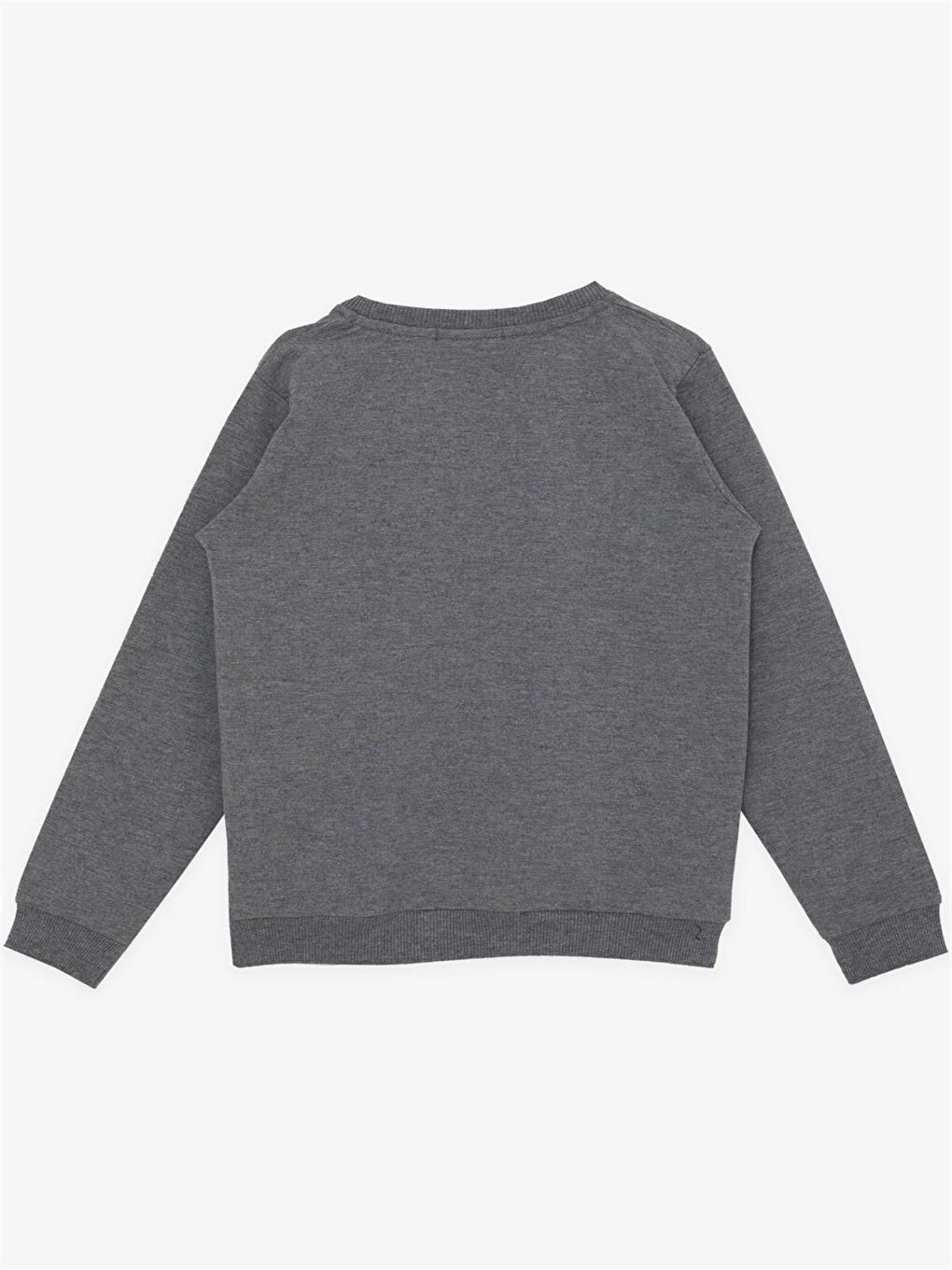 Breeze Gri Bisiklet Yaka Baskılı Uzun Kollu Kız Çocuk Sweatshirt - 1