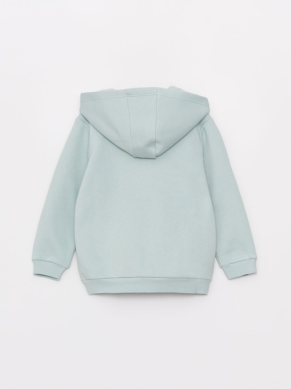 LCW baby Pastel Yeşil Kapüşonlu Uzun Kollu Erkek Bebek Fermuarlı Sweatshirt - 4