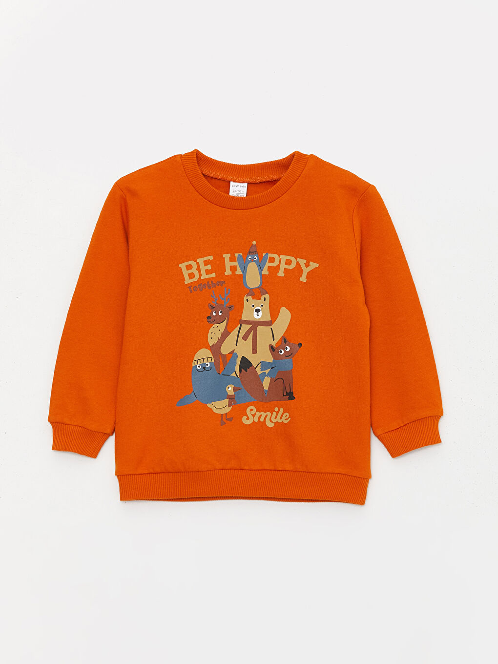 LCW baby Açık Gri Bisiklet Yaka Uzun Kollu Baskılı Erkek Bebek Sweatshirt 2'li - 1