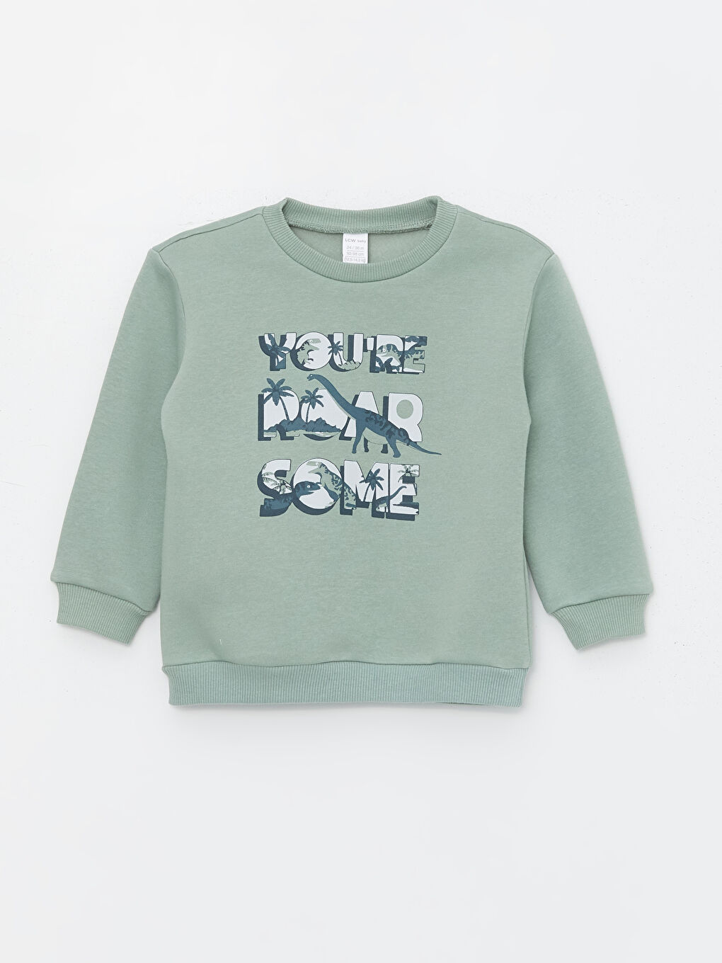 LCW baby Mat Yeşil Bisiklet Yaka Uzun Kollu Baskılı Erkek Bebek Sweatshirt 2'li - 1