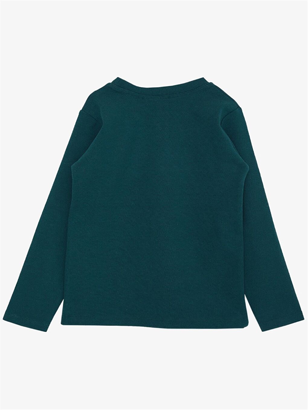 Yeşil Bisiklet Yaka Uzun Kollu Erkek Çocuk Sweatshirt-1