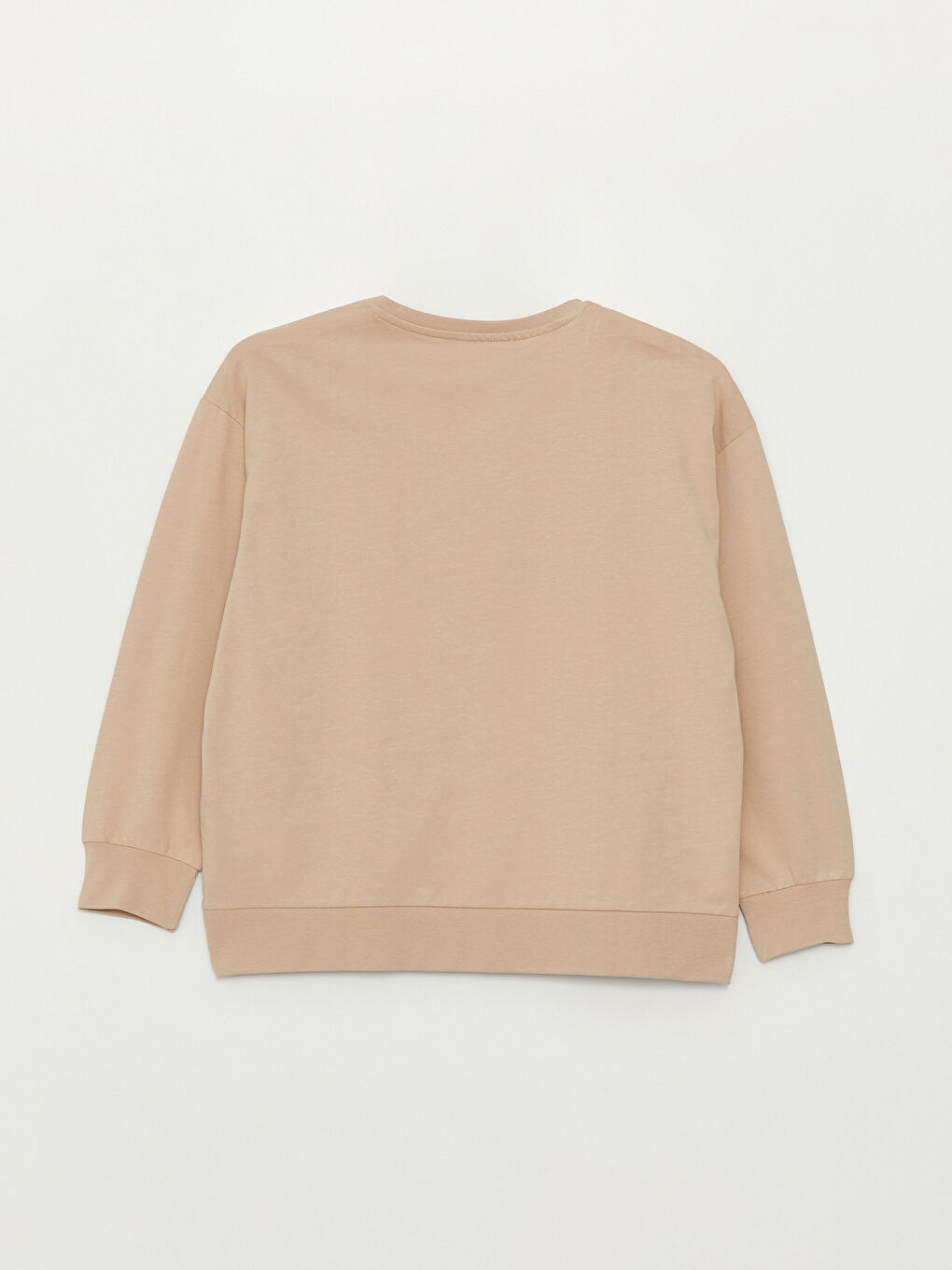 Petite Crew Neck Plain Long Sleeve Women's Sweatshirt -W3KA95Z8-GJH