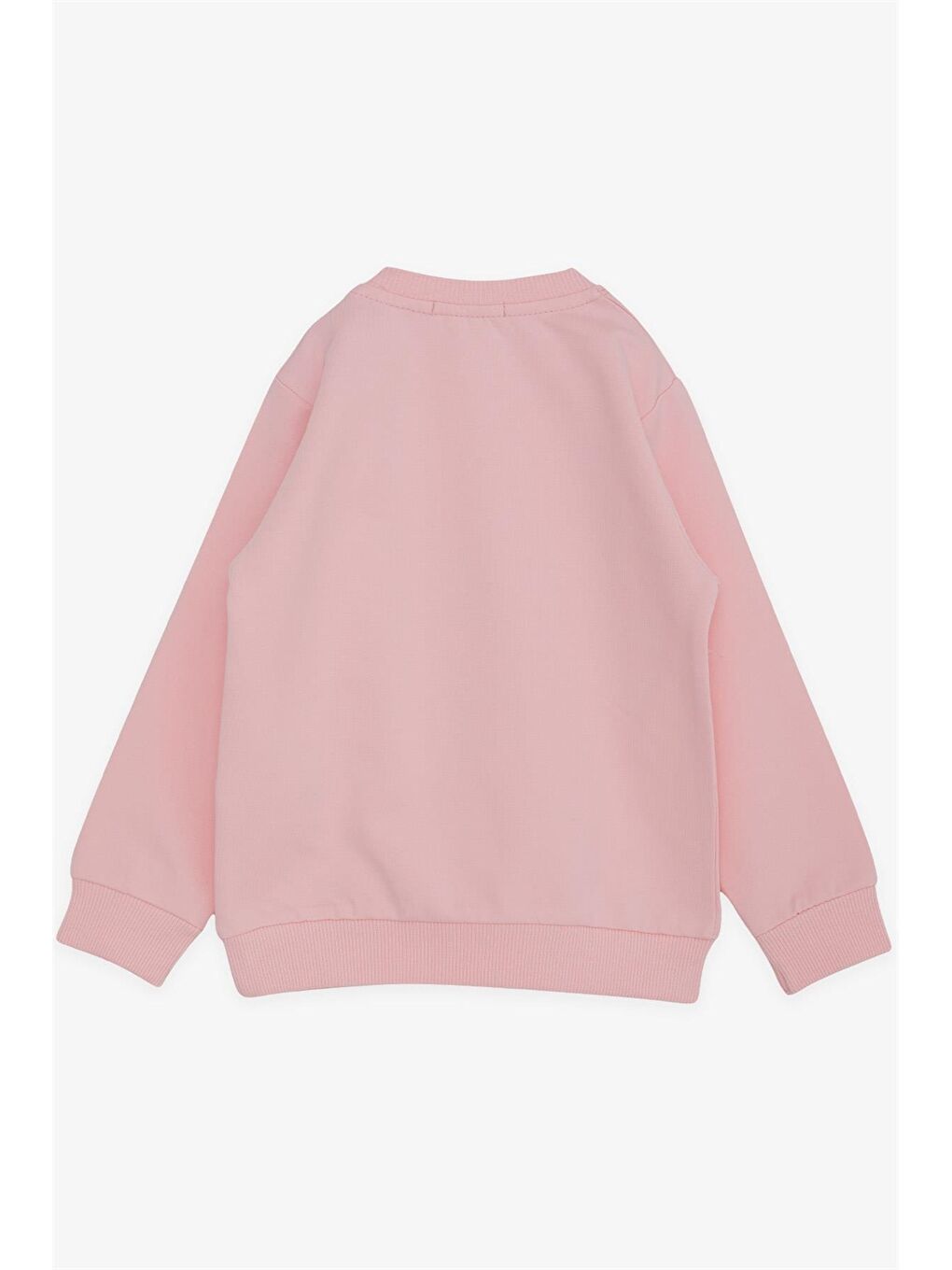 Breeze Pembe Bisiklet Yaka Uzun Kollu Kız Bebek Sweatshirt - 1