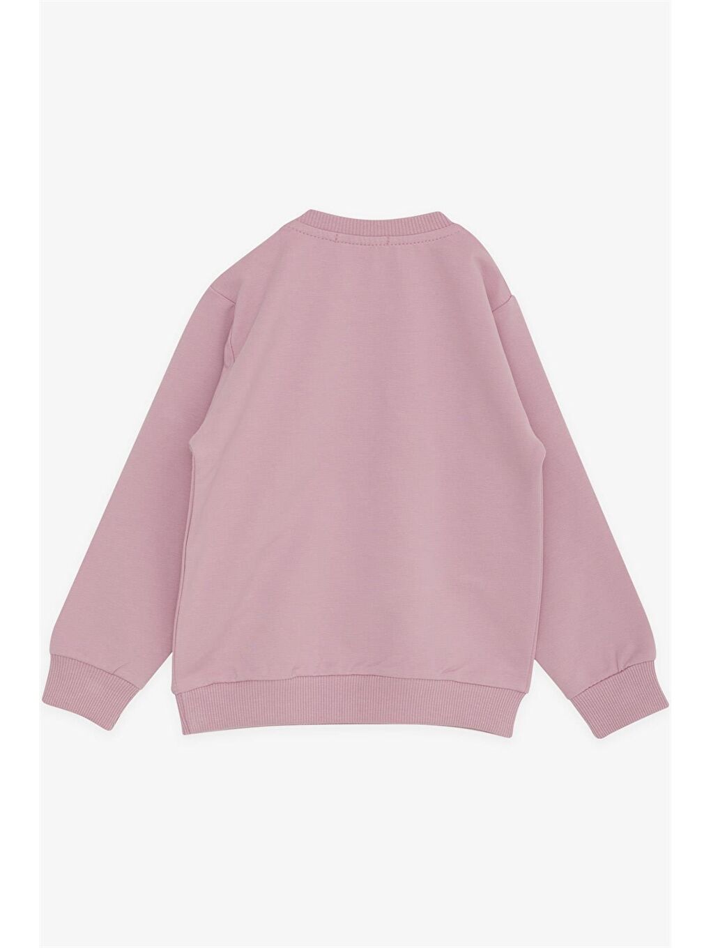 Pembe Bisiklet Yaka Uzun Kollu Kız Bebek Sweatshirt-1
