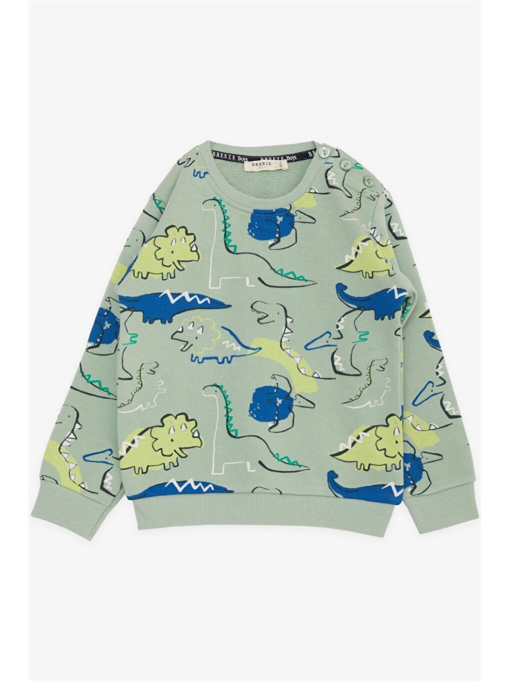 Breeze Yeşil Bisiklet Yaka Erkek Bebek Sweatshirt