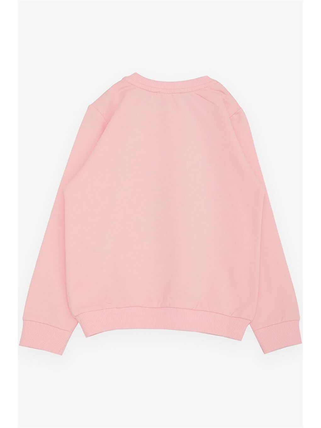 Breeze Pembe Bisiklet Yaka Kız Bebek Sweatshirt - 1