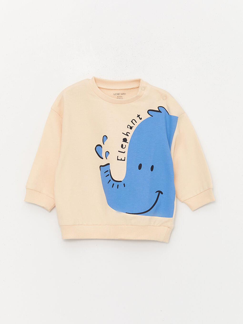 Crew Neck Printed Long Sleeve Baby Boys' Sweatshirt and Sweatpants 2 Pack Set -S40903Z1-S6R