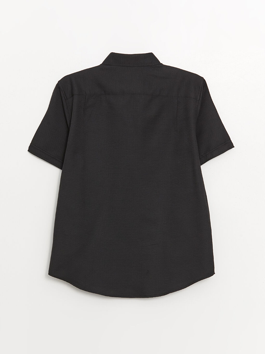 Regular Fit Short Sleeve Dobby Men's Shirt -S41086Z8-RQL