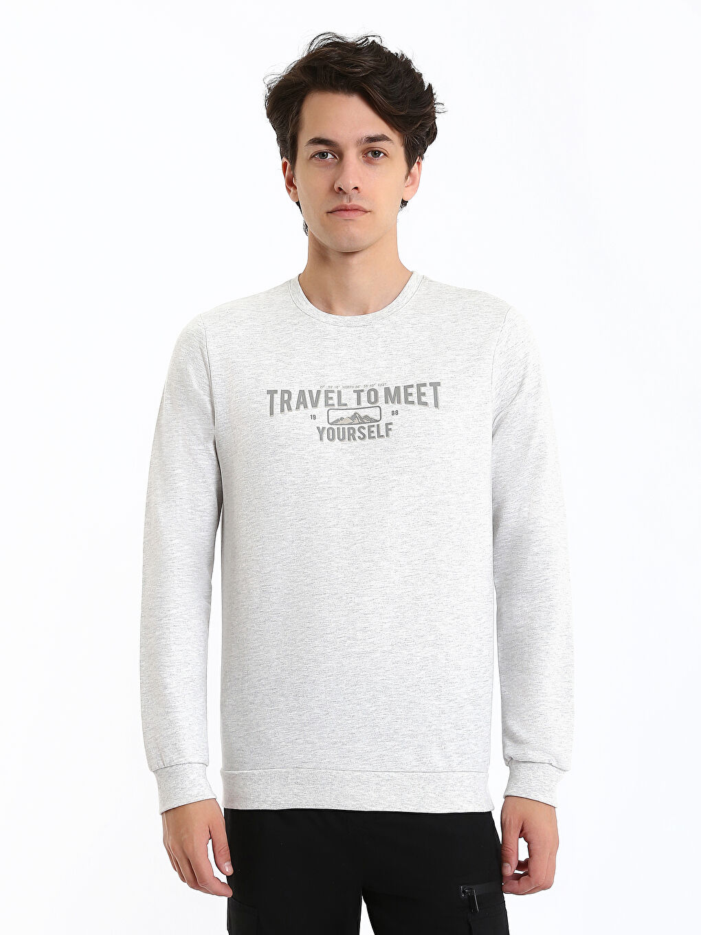 Crew Neck Long Sleeve Printed Men's Sweatshirt-1