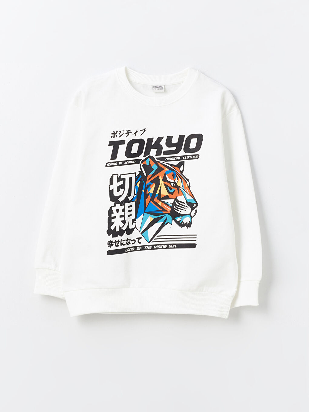 Comfortable Crew Neck Boy's Sweatshirt -S45306Z4-R9J