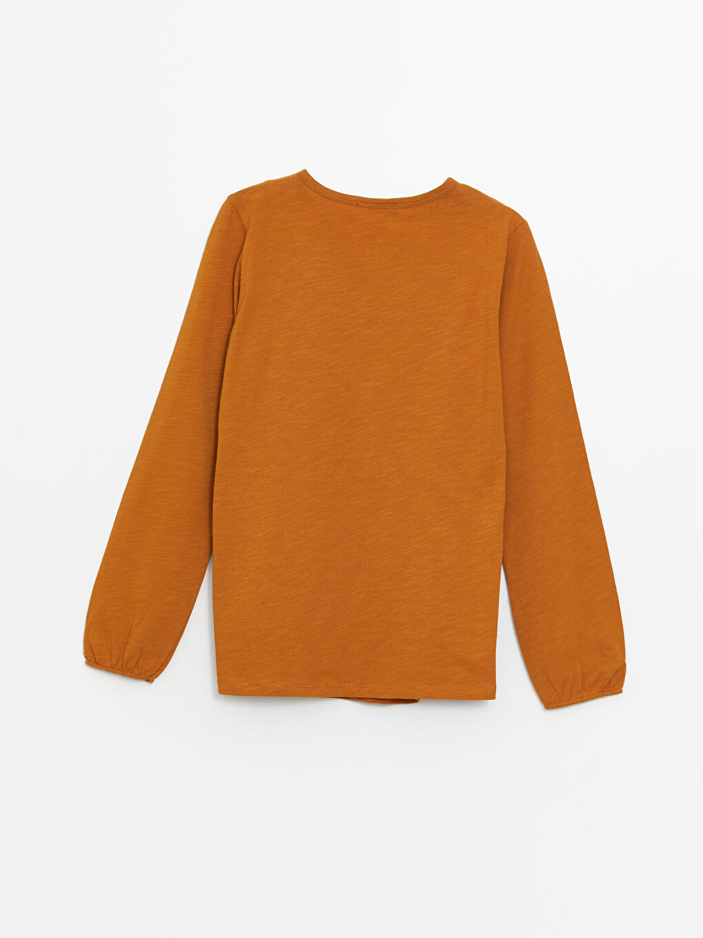 Crew Neck Embroidered Long Sleeve Women's Blouse -S46651Z8-H1V