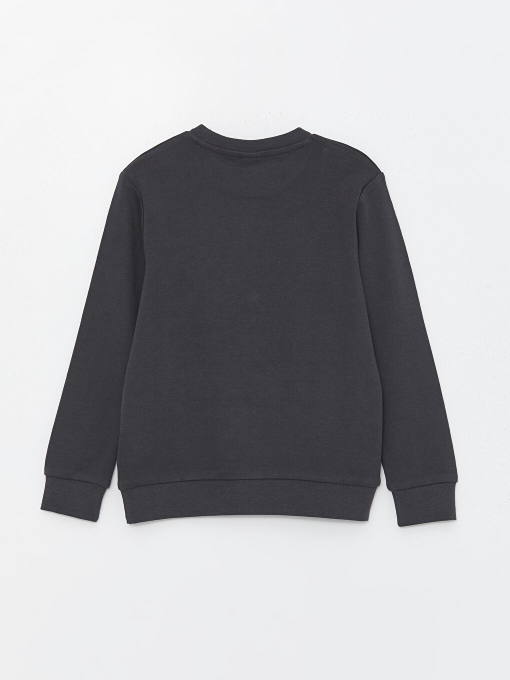 Crew Neck Printed Long Sleeve Boys' T-Shirt -S46981Z4-VFB