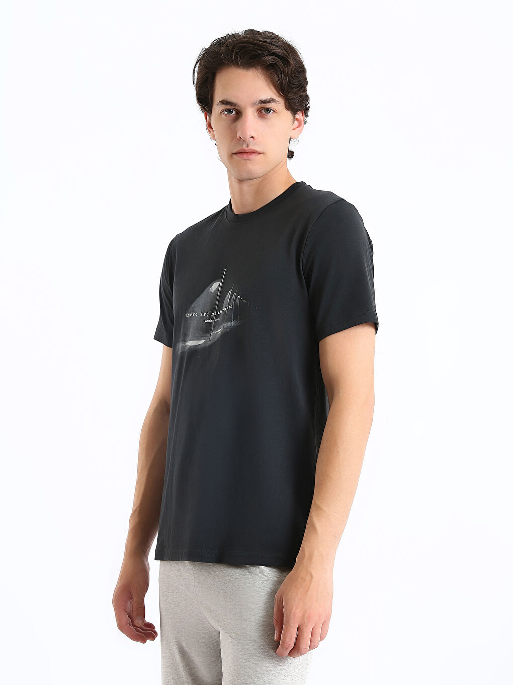 Antrasit Bisiklet Yaka Kısa Kollu Baskılı Penye Erkek Tişört-6