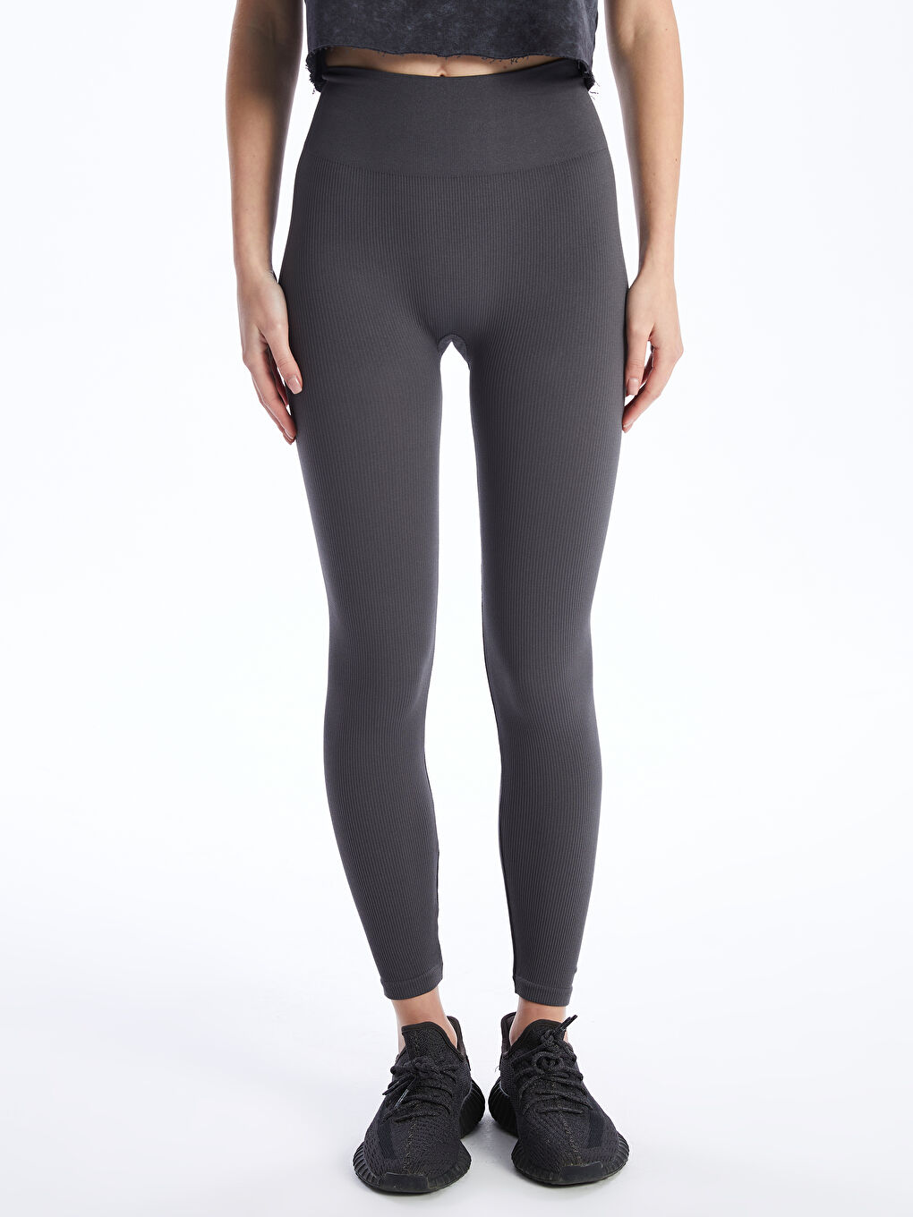 Elastic Waist Plain Seamless Women's Tights -S47906Z8-RFL