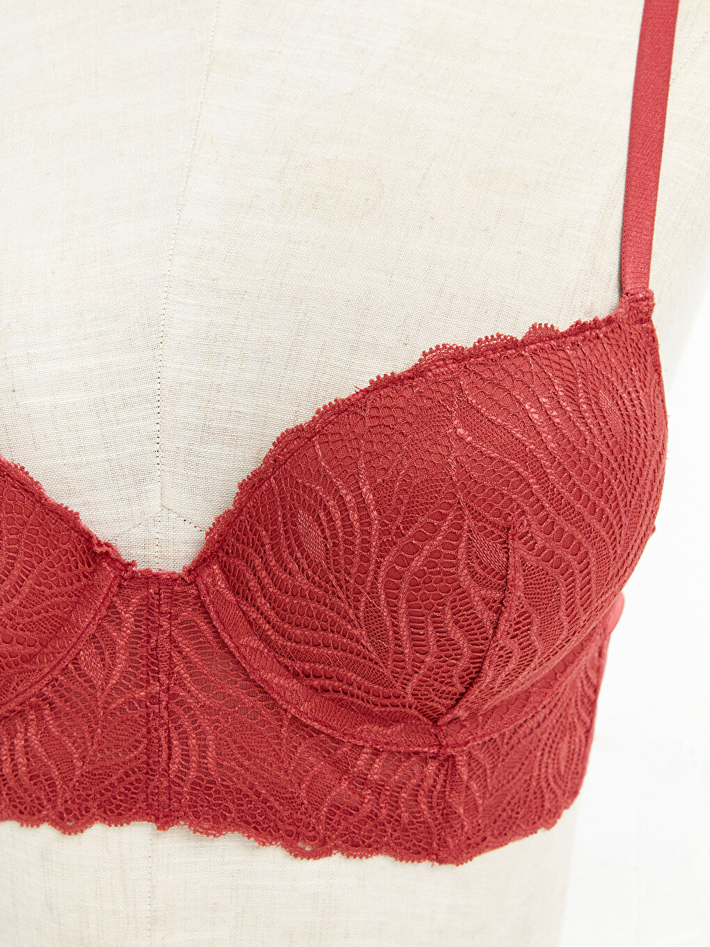 Underwire Padded Lace Fantasy T-Shirt Bra -S49182Z8-HPZ