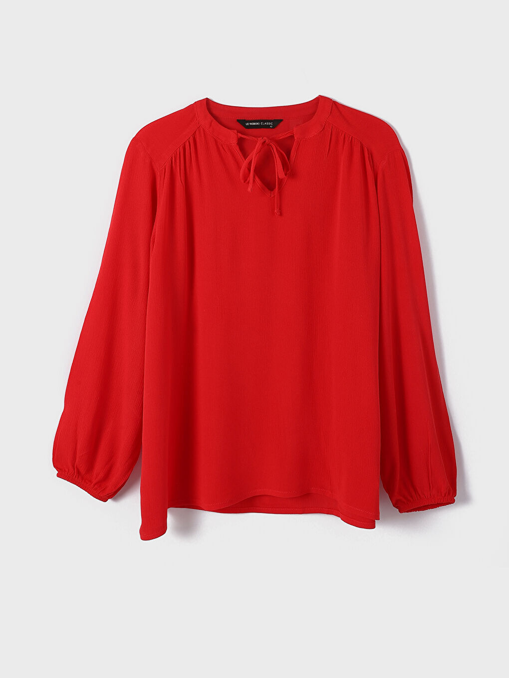 Tie Neck Plain Long Sleeve Women's Blouse