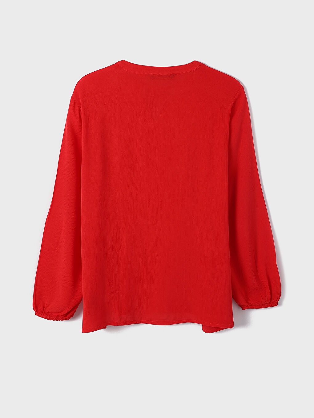 Tie Neck Plain Long Sleeve Women's Blouse-1