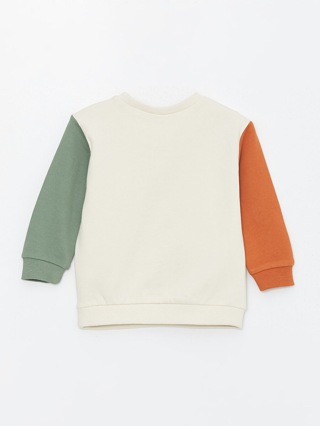 Crew Neck Printed Baby Boy Sweatshirt-1