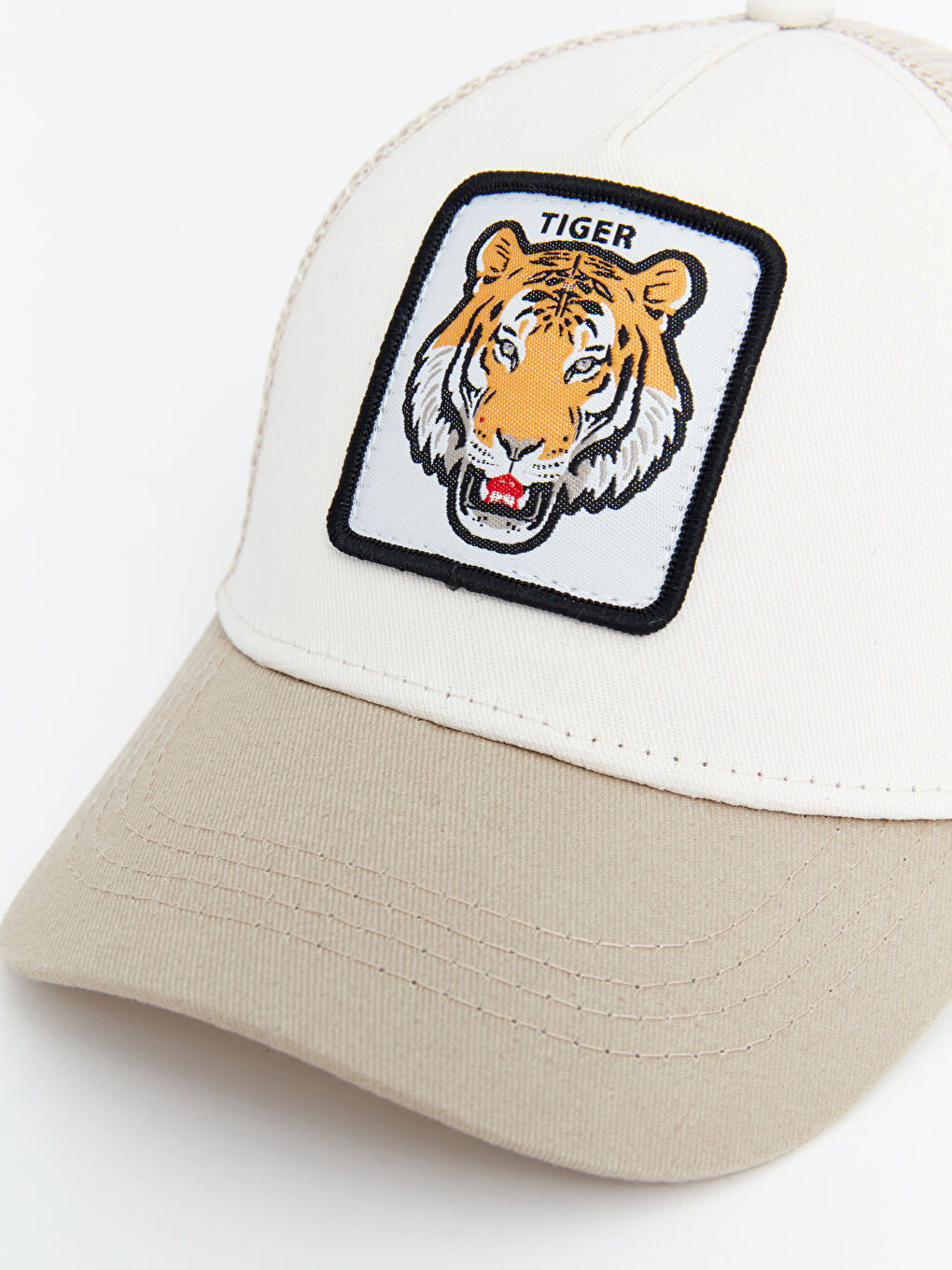 Lion Embroidered Boys' Cap Hat-1