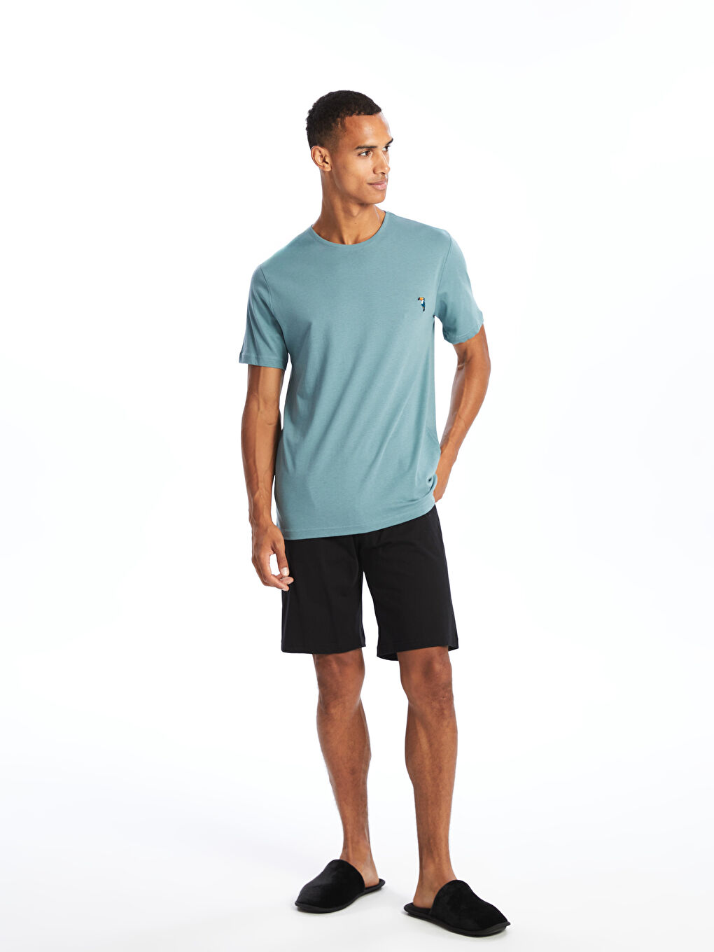 Regular Fit Men's Short Pyjama Set -S4BE49Z8-GLL