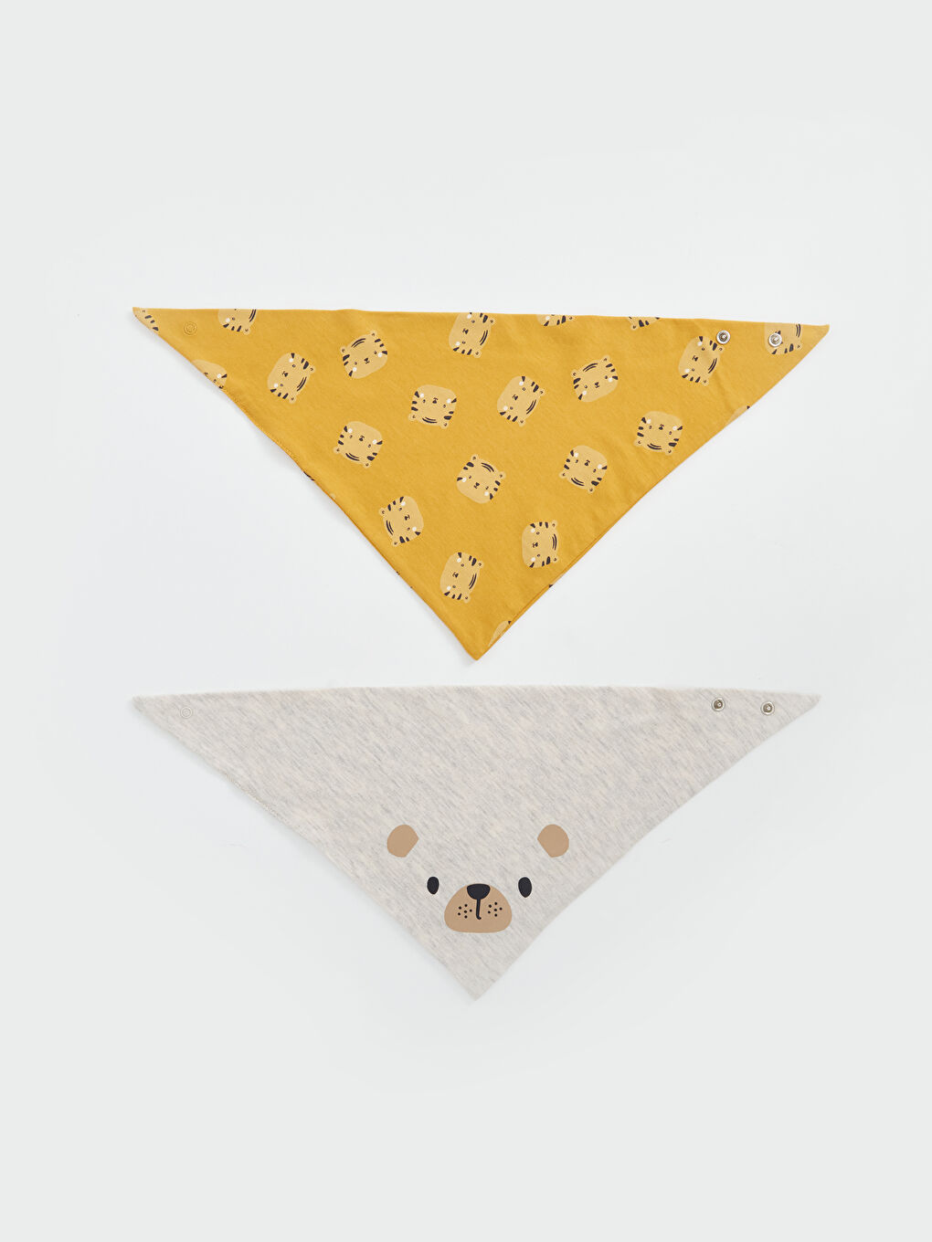 Printed Baby Boys' Bib 2 Pack