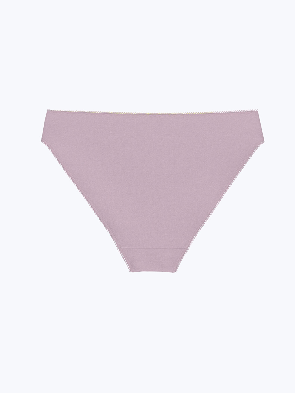 Lila Düz Bikini Külot-1