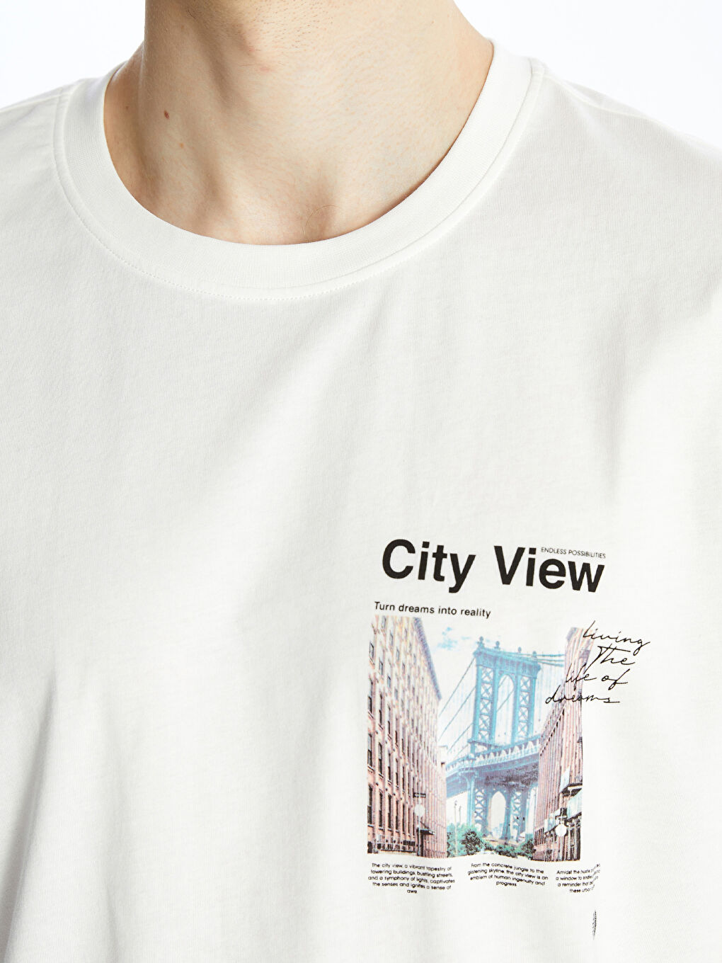 Crew Neck Short Sleeve Printed Combed Cotton Men's T-shirt-3