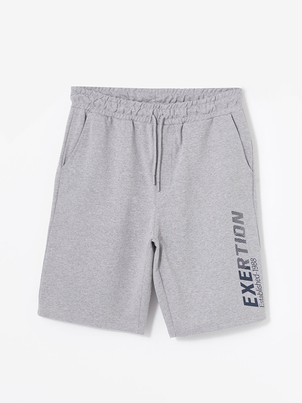 Gri Standart Kalıp Erkek Şort-5
