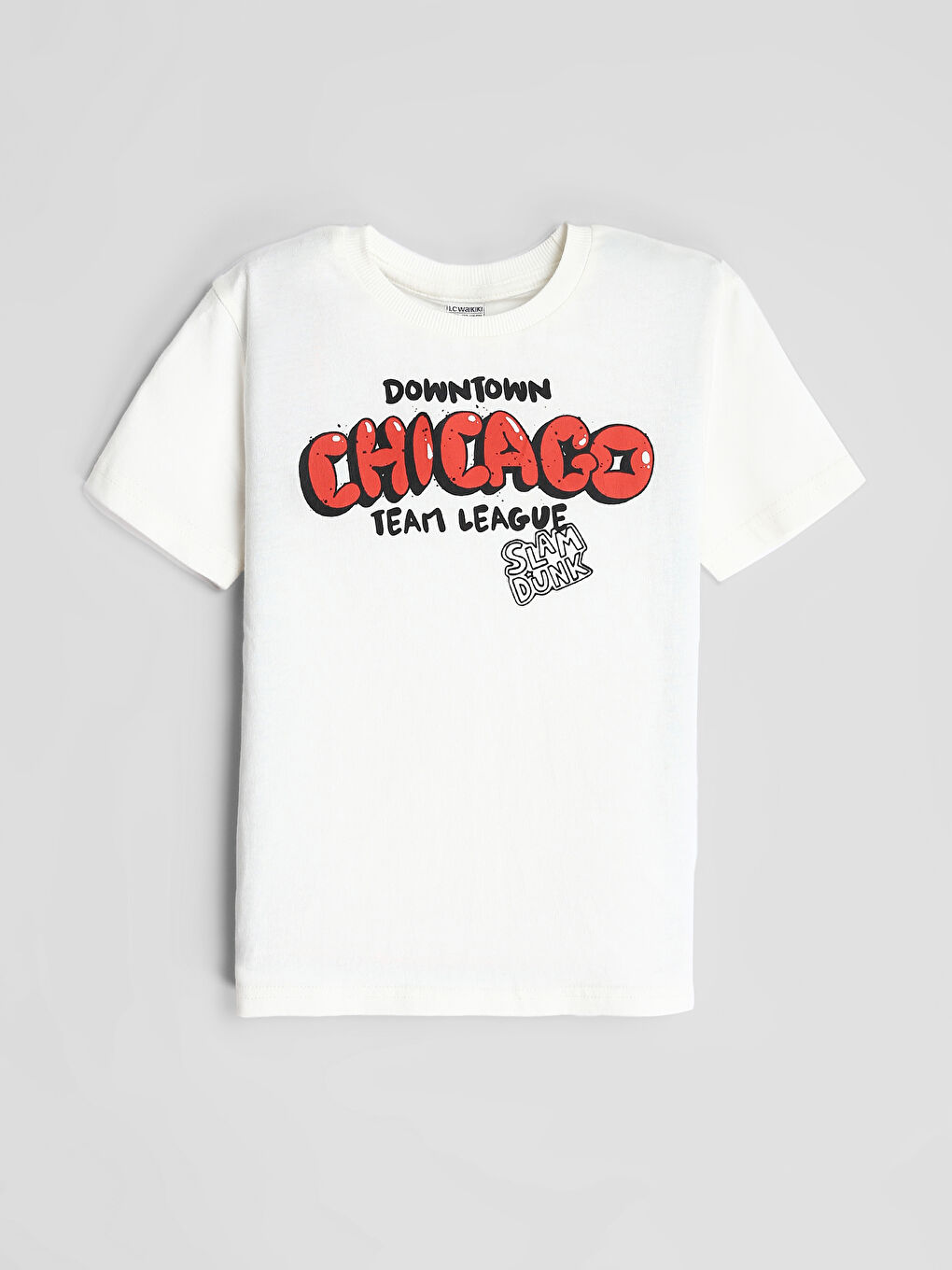 Crew Neck Printed Short Sleeve Boys' T-Shirt-3