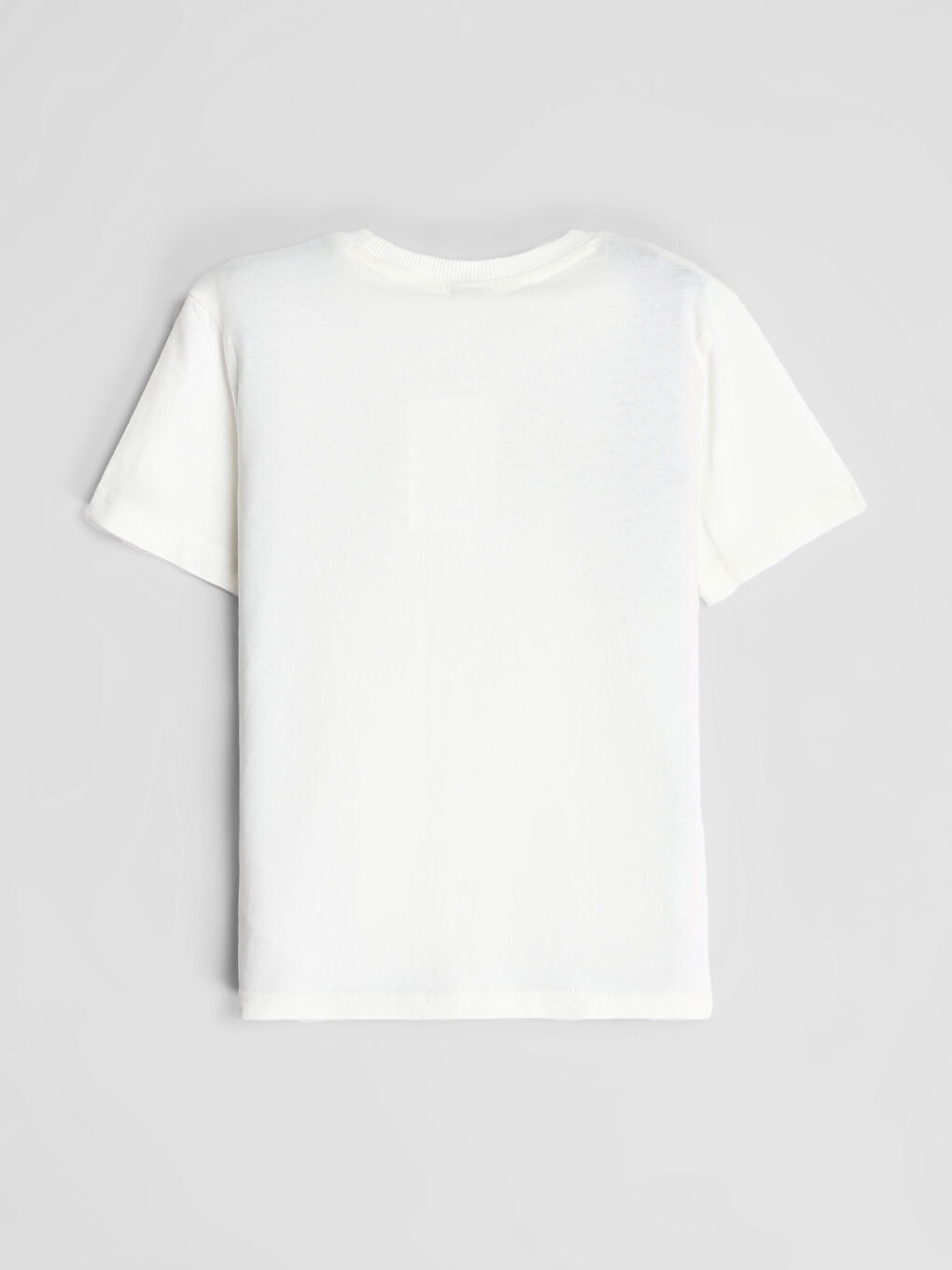 Crew Neck Printed Short Sleeve Boys' T-Shirt-4