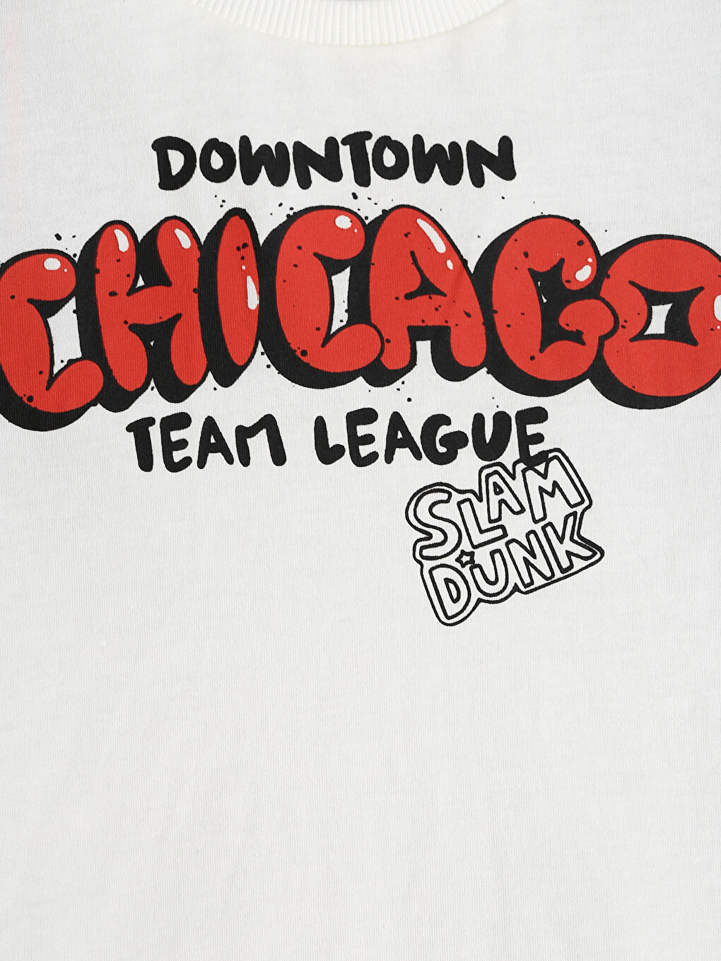 Crew Neck Printed Short Sleeve Boys' T-Shirt-7