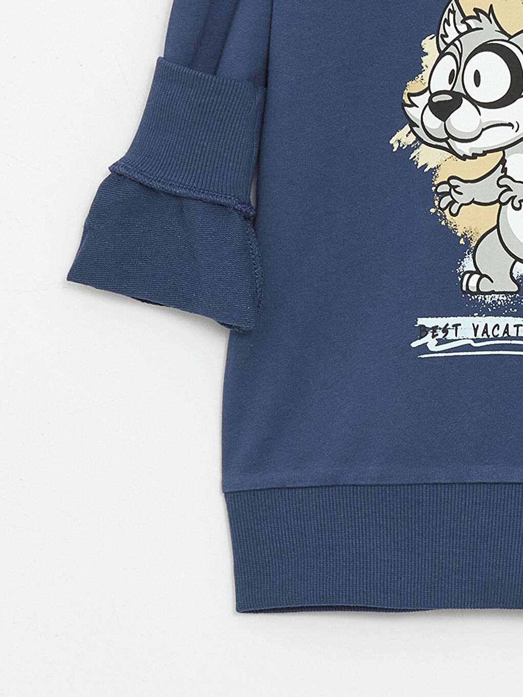 LCW Kids İndigo Rahat Kalıp Erkek Çocuk Sweatshirt - 2