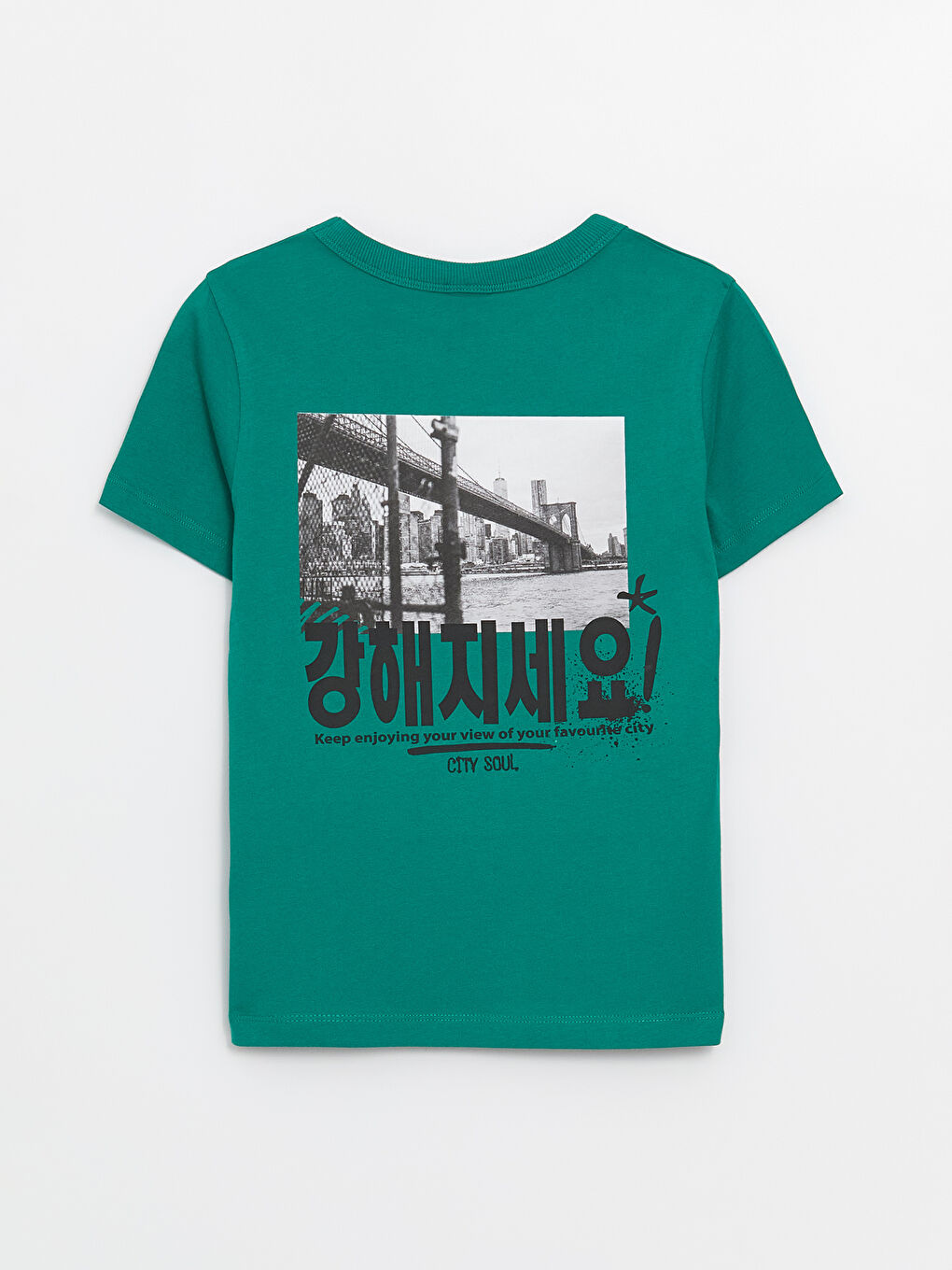 Crew Neck Printed Short Sleeve Boys' T-Shirt -S4G019Z4-HAZ
