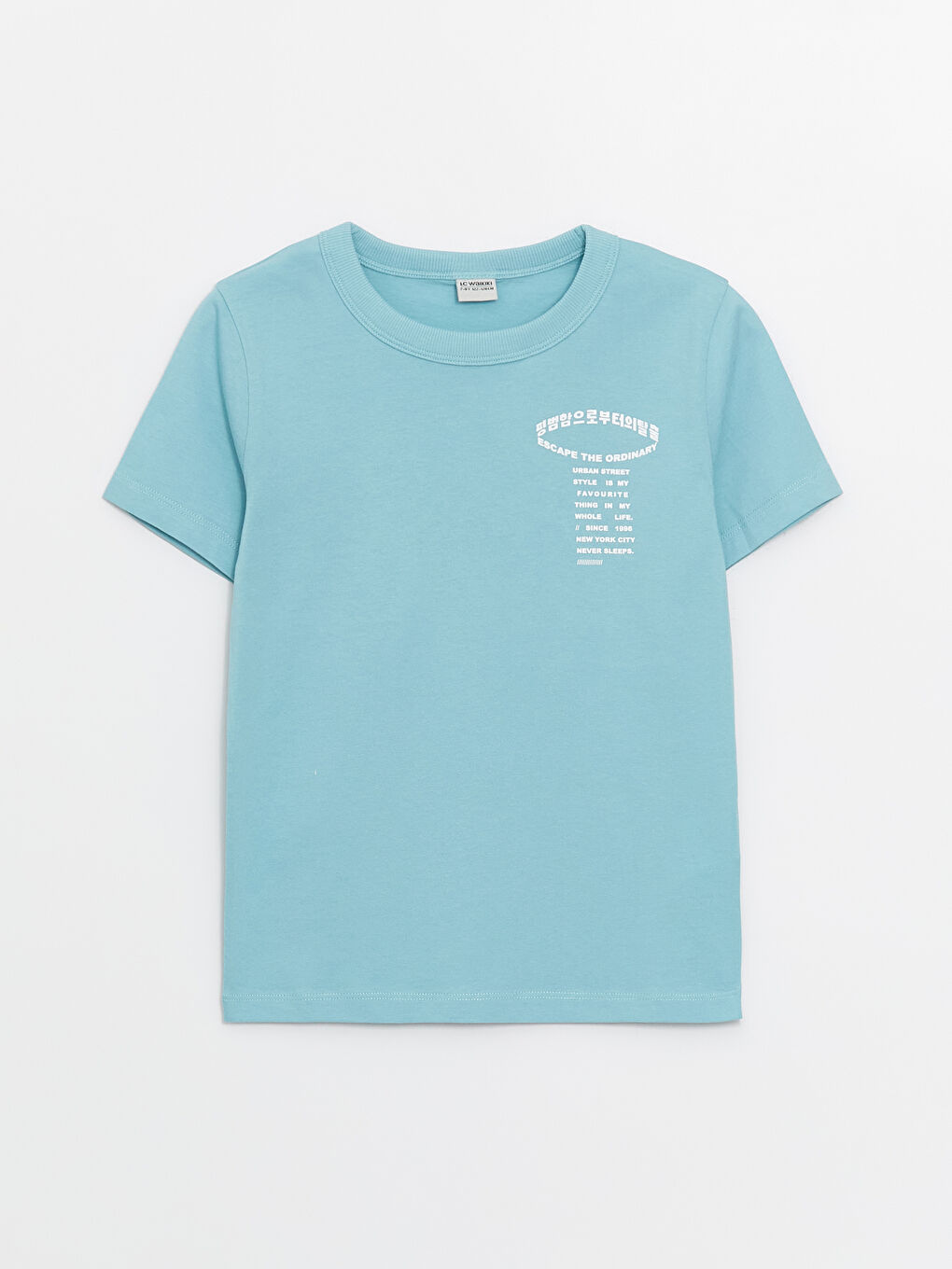 Crew Neck Printed Short Sleeve Boys' T-Shirt -S4G020Z4-GFS